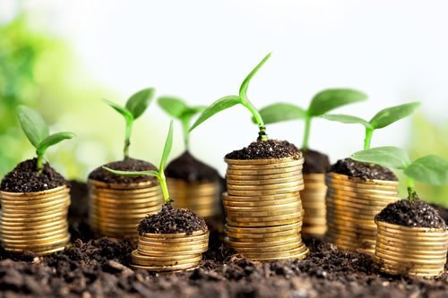 Savings & Investments